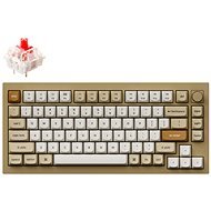 Keychron Q1 Swappable RGB Backlight Red Switch Knob Version, Champagne Gold - US - Gaming Keyboard