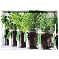 Kesper servírovací, bylinky, 50 × 35 cm - Podnos