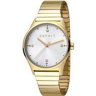 ESPRIT VinRose Silver Gold Polish 2990 - Women's Watch