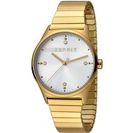 ESPRIT VinRose Silver Gold Matt 2990 - Women's Watch