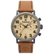 TIMBERLAND model RICHDALE TBL15405JSQS07 - Men's Watch