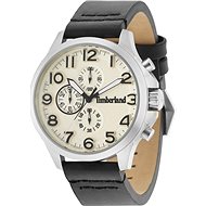 TIMBERLAND model ALDEN TBL14524JS07P - Men's Watch