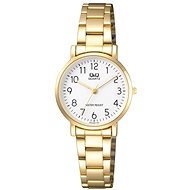 Q&Q Standard Q979J004 - Women's Watch
