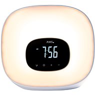 AMS 1302 - Clock
