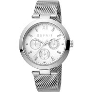 ESPRIT Florine Silver Mesh ES1L213M0055 - Women's Watch