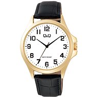 Q&Q Mens C36A-009PY - Watch