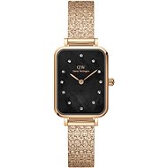 DANIEL WELLINGTON DW00100579 - Watch