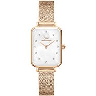 DANIEL WELLINGTON DW00100578 - Watch