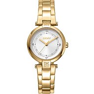 DKNY Essential Mini DK1L043M0055 - Watch