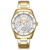 DKNY Chambers Multi Sport DK1L073M0025 - Watch