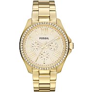  Fossil AM4482  - Women's Watch