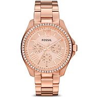  Fossil AM4483  - Women's Watch