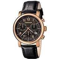 WENGER 01.1043.107 - Men's Watch