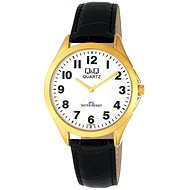 Men's Watch Q&Q C192J104 - Men's Watch