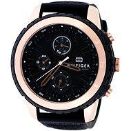 Tommy Hilfiger 1791195 - Men's Watch