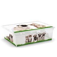 KIS C-Box Puppy & Kitten L 27 litres on wheels - Storage Box