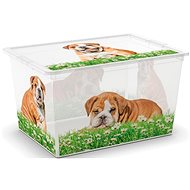 KIS C-Box Puppy & Kitten XL 50 litres on wheels - Storage Box
