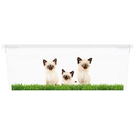 Kis C-Box Puppy & Kitten XS - Úložný box