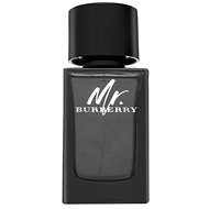 BURBERRY Mr. Burberry EdP - Eau de Parfum