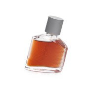 BRUNO BANANI Magnetic Man EdT 50 ml - Eau de Toilette