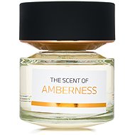 BMW Amberness EdP 100 ml - Eau de Parfum