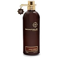MONTALE Aoud Forest EdP 100 ml - Parfumovaná voda