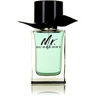 BURBERRY Mr. Burberry EdT - Eau de Toilette