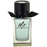 Burberry Mr. Burberry EdT 100ml TESTER - Perfume Tester