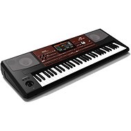 KORG Pa700 - Electronic Keyboard