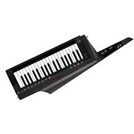 KORG RK-100S2 BK - Synthesiser