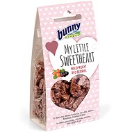 Bunny Nature hearts with forest fruit 30 g - Treats for Rodents