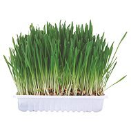 Trixie Grass for Rodents in a Bowl 100g - Dietary Supplement for Rodents