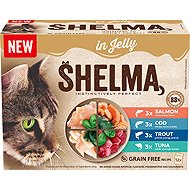 Shelma GF NM cat capsule mixed fish in jelly 12 × 85 g - Cat Food Pouch