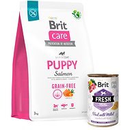 Brit Care Dog Grain-free s lososom Puppy 3 kg + Brit Fresh Veal with millet 400 g - Granule pre šteniatka