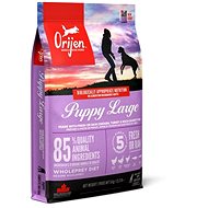 Orijen Puppy Large 6 kg - Kibble for Puppies