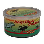 Lucky Reptile Herp Diner crickets 35 g - Terrarium Animal Food
