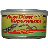 Lucky Reptile Herp Diner Superworms 35 g - Terrarium Animal Food