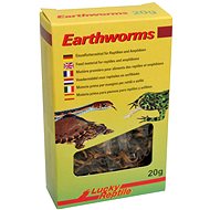 Lucky Reptile Earthworms 10 g - Terrarium Animal Food
