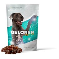Geloren Dog L/XL 420 g 60 pcs - Joint Nutrition for Dogs