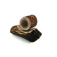 Chewies deer Geweih - Snack - L - Fallow Antler Dog Chew