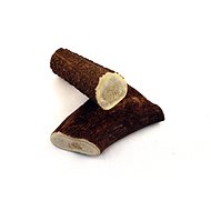 Geweih Fallow Antler Dog Chew - Snack - M - Fallow Antler Dog Chew