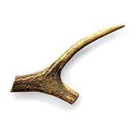 Fenica deer antler treat whole S - Fallow Antler Dog Chew