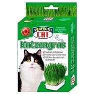 Perfecto Cat cat grass 100g - Cat Grass