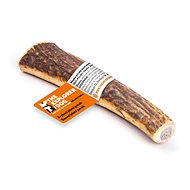 Explorer dog Chewable deer antler S hard - Fallow Antler Dog Chew