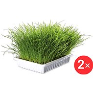 Trixie Grass germination bowl for kittens 2 × 100 g - Cat Treats