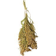 JR Birds Millet 100 g - Birds Treats