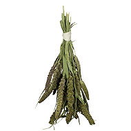JR Birds Green Senegal millet 50 g - Birds Treats