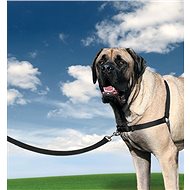 EasyWalk Harness, Black XL - Harness