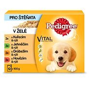 Pedigree Junior výber v šťave 12× 100 g - Kapsička pre psov