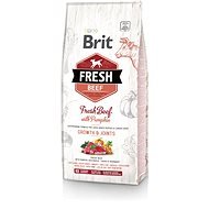 Brit Fresh Beef with Pumpkin Puppy Large 12kg - Kibble for Puppies